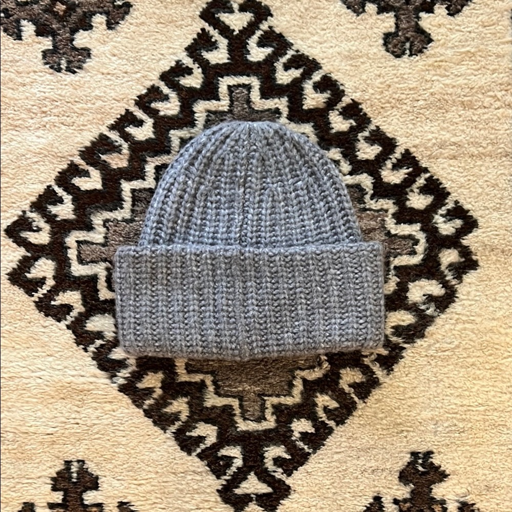 Wilfred Aritzia soft gray chunky knit hat
